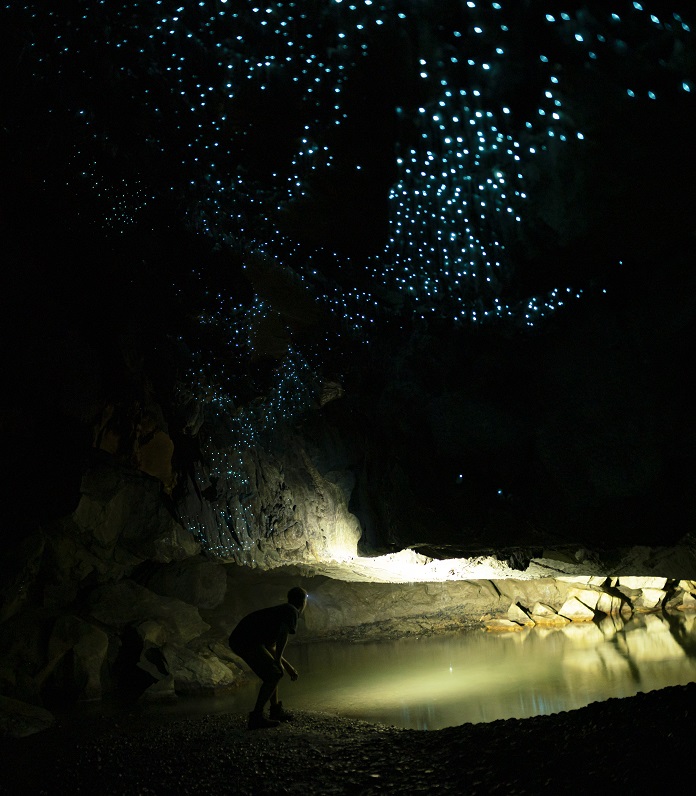 Waipu Cave 3